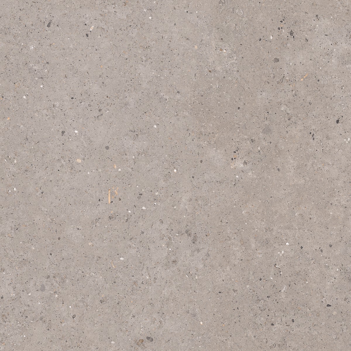 Dlažba Pastorelli Biophilic grey 120x120 cm mat P009411 Pastorelli