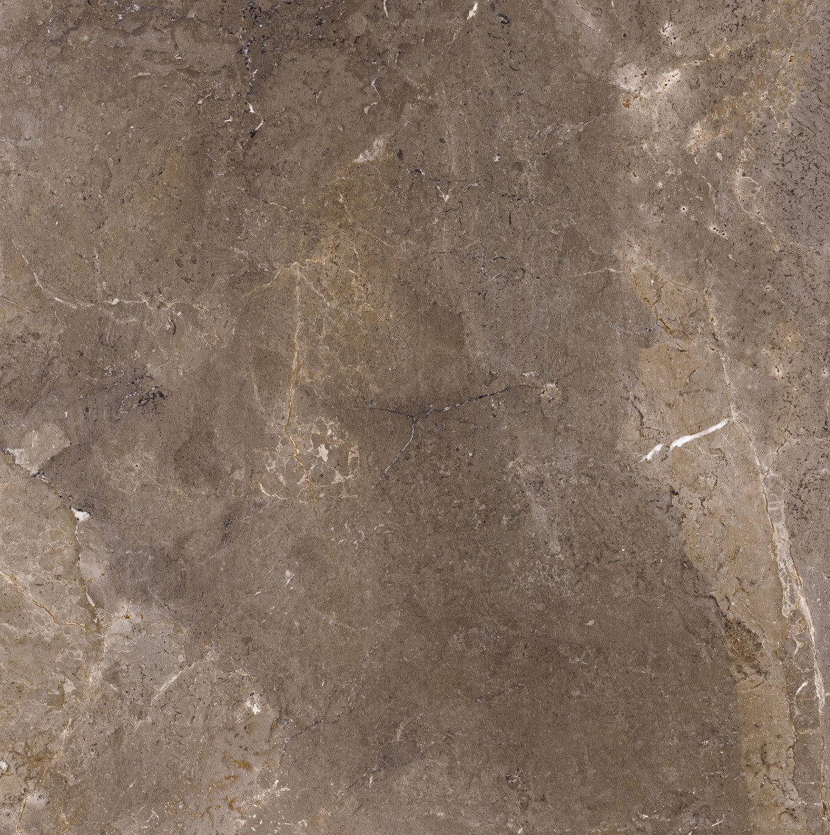 Dlažba Porcelaingres Royal Stone imperial brown 100x100 cm mat X1010381X6 Porcelaingres