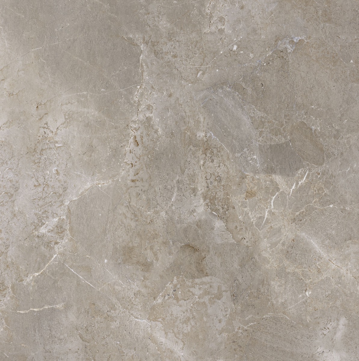 Dlažba Porcelaingres Royal Stone palladium grey 100x100 cm mat X1010382X6 Porcelaingres