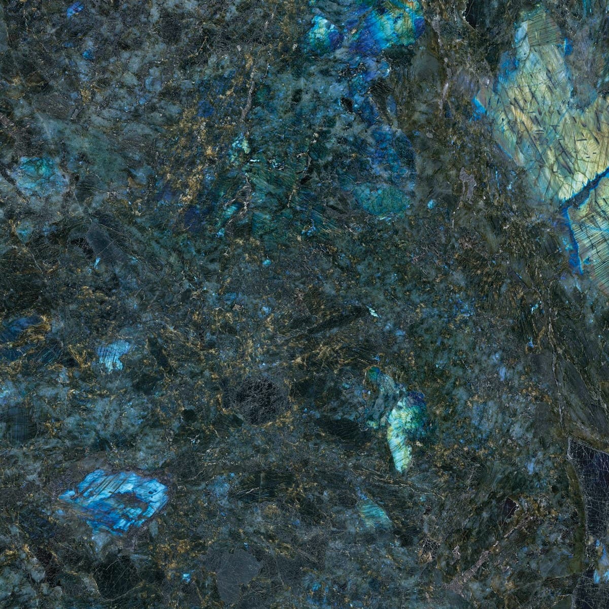 Dlažba Geotiles Labradorite blue 120x120 cm leštěná LABRADORITE120BL Geotiles