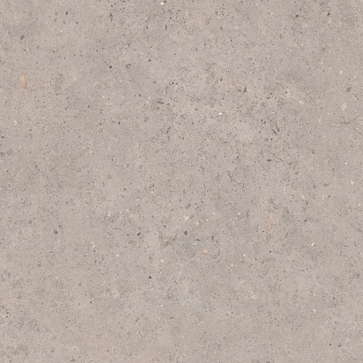 Dlažba Pastorelli Biophilic grey 60x60 cm mat P009459 Pastorelli